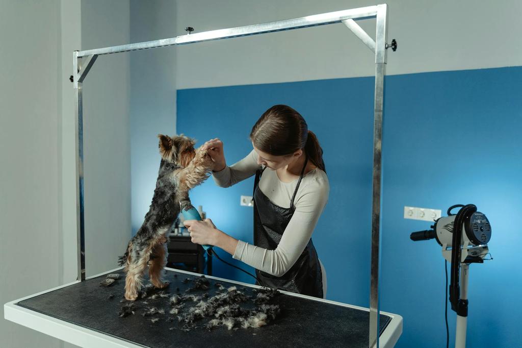 Nail trimming service
